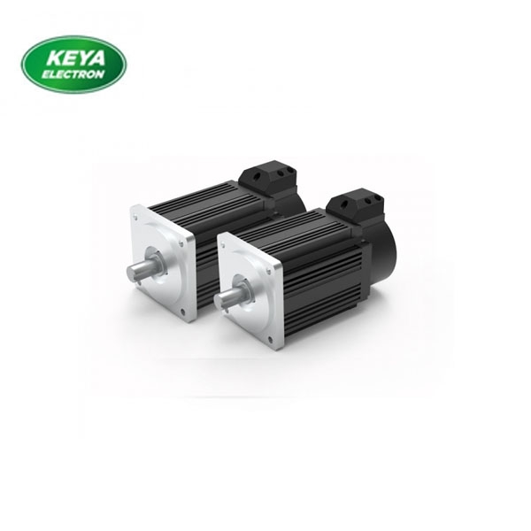 乐竞（中国） 100W 3000RPM